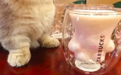 星巴克的猫爪杯，新零售的深逻辑