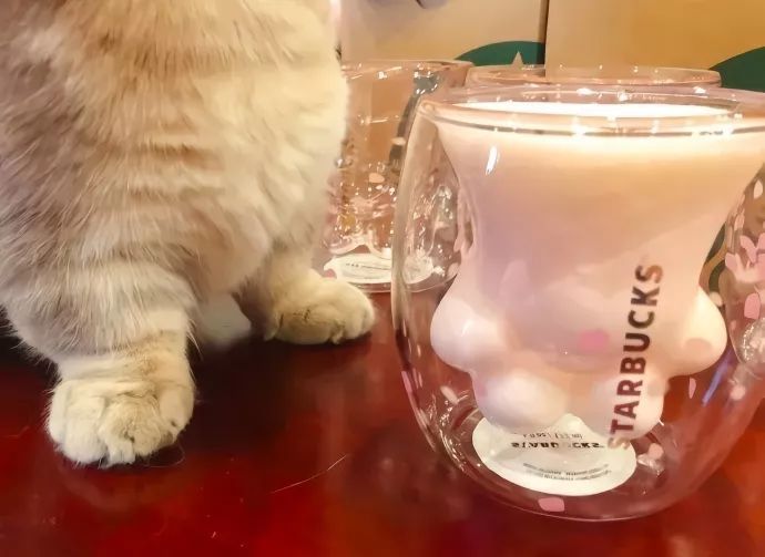 星巴克的猫爪杯，新零售的深逻辑